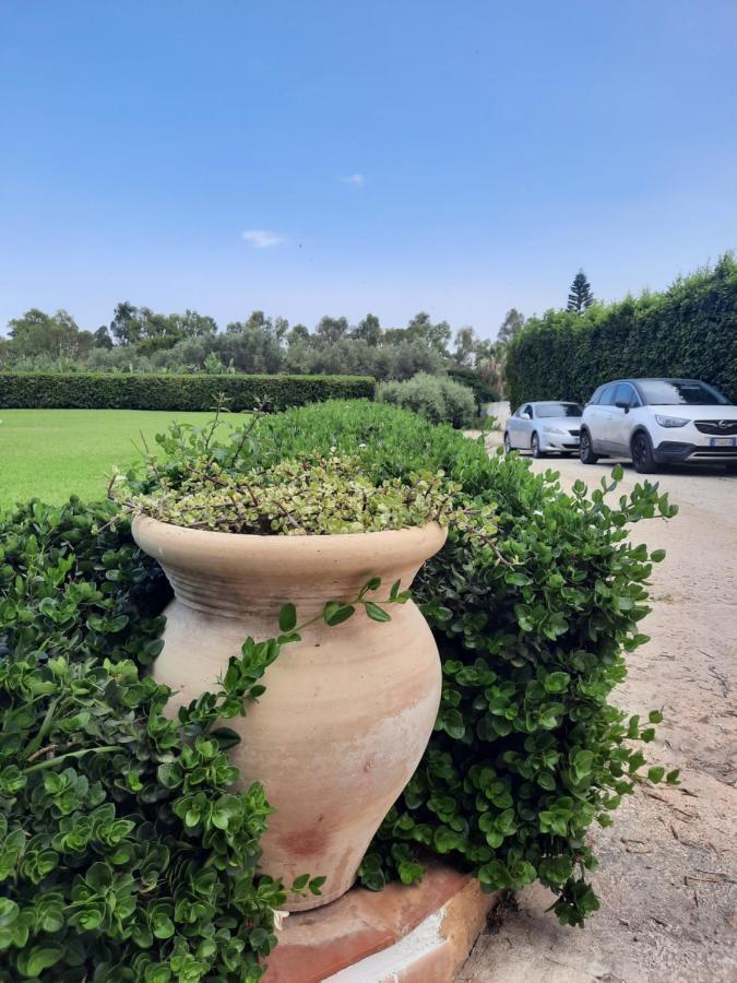Villa Nina Fontane Bianche Exterior photo